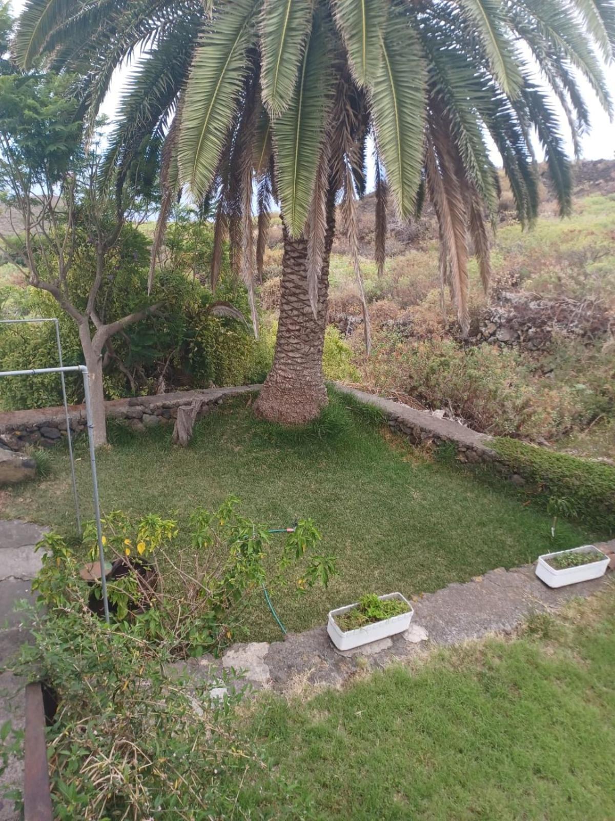 Casa Rural El Olivo De Mazo Zewnętrze zdjęcie