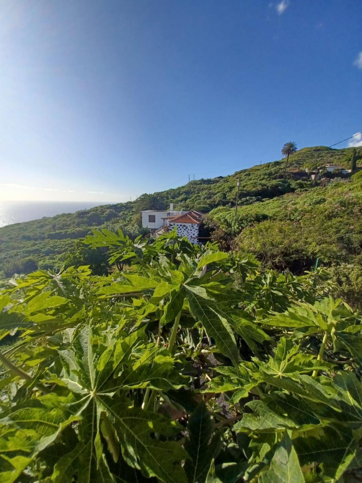 Casa Rural El Olivo De Mazo Zewnętrze zdjęcie
